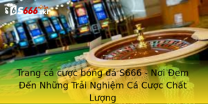 Trang cá cược bóng đá S666 - Nơi Đem Đến Những Trải Nghiệm Cá Cược Chất Lượng 10 Trang Ca Cuoc Bong A S666 Noi Em En Nhung Trai Nghiem Ca Cuoc Chat Luong